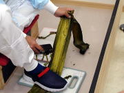 海産物2