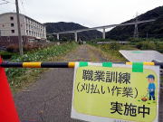 刈払1